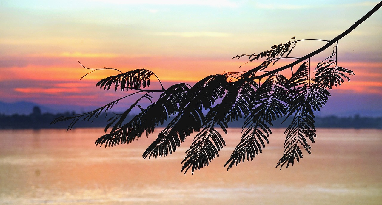 sunset mekong river free photo