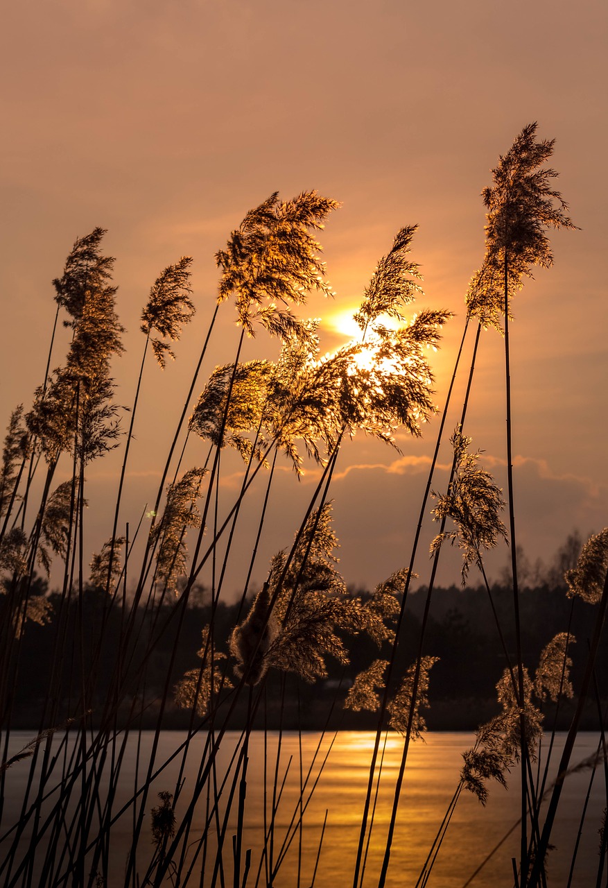 sunset evening lake free photo