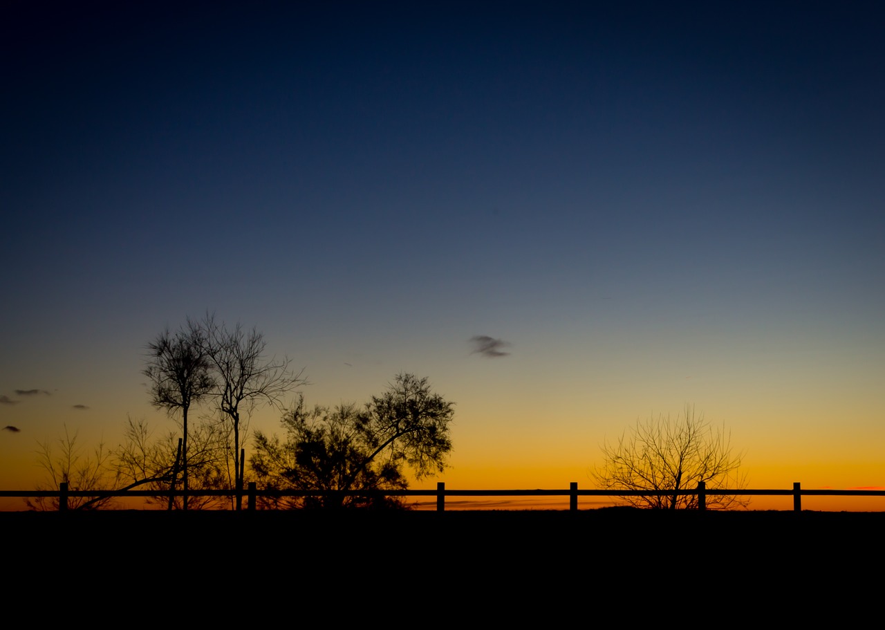 sunset silhouette sky free photo