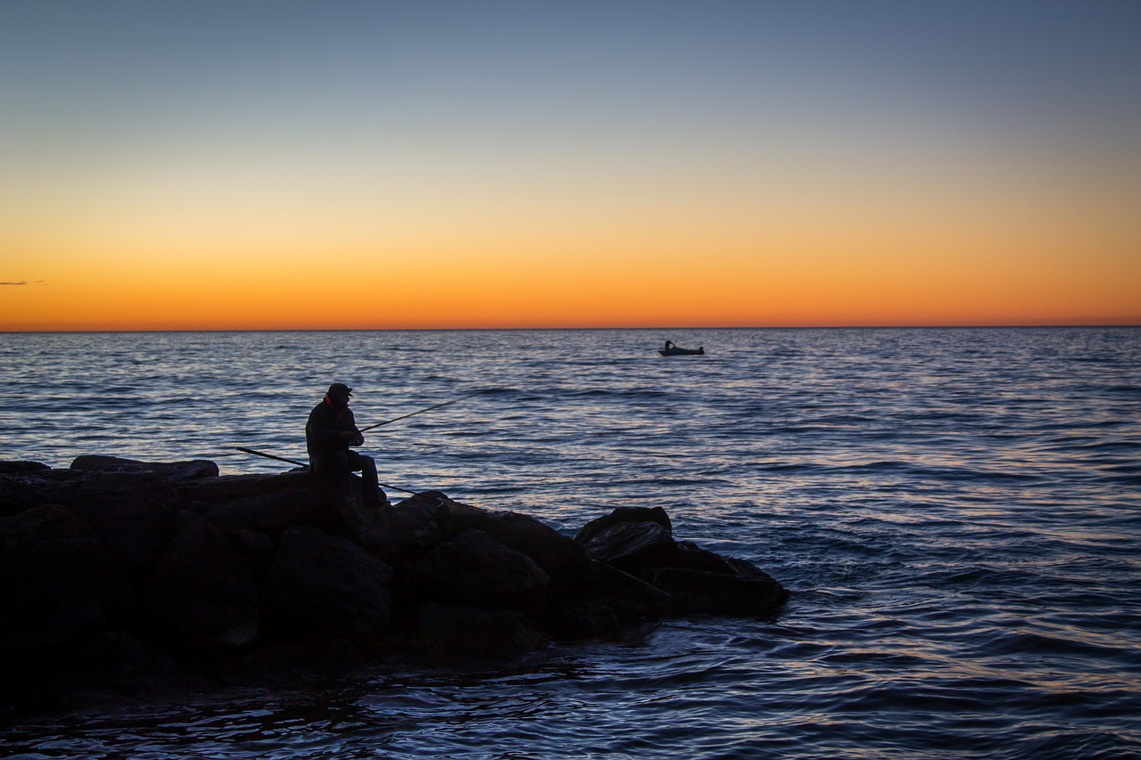 sunset body of water sea free photo