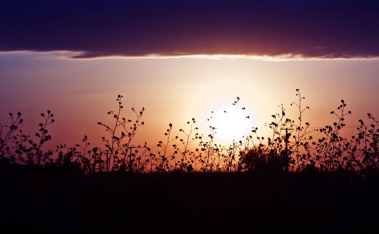 sunset  nature  dawn free photo