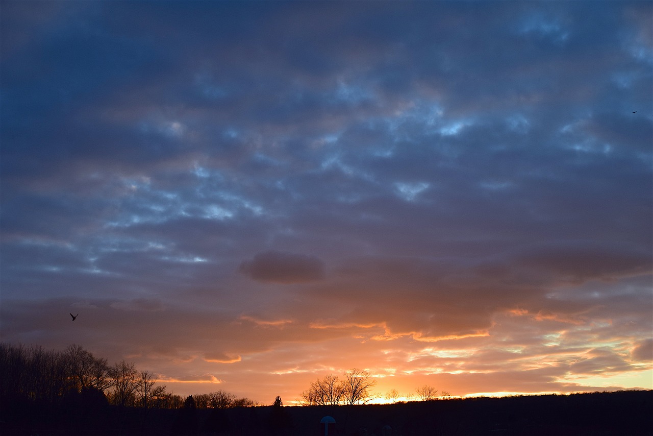 sunset  landscape  nature free photo