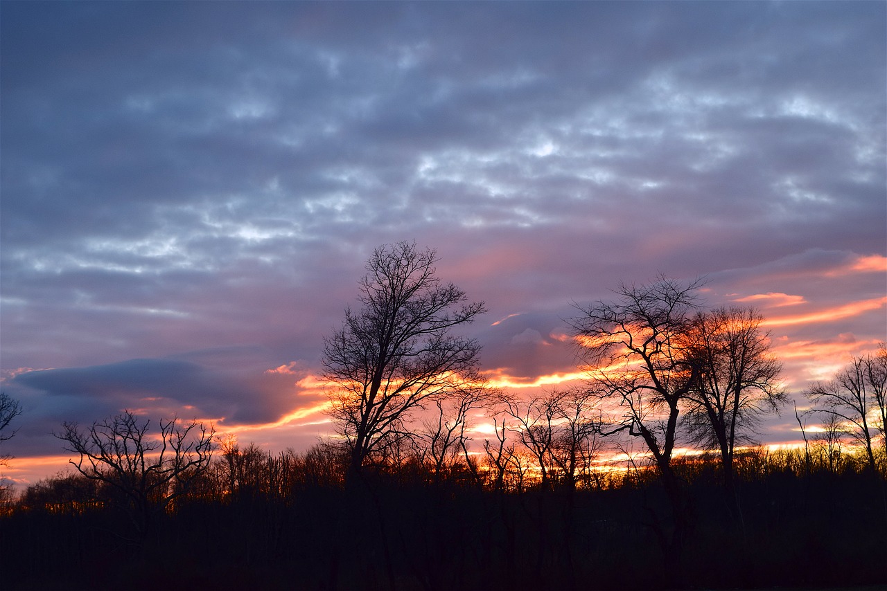 sunset  landscape  nature free photo