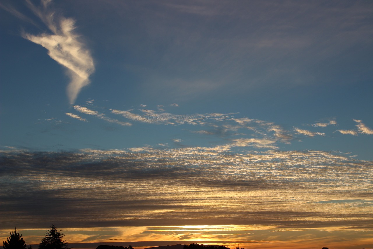 sunset  nature  outdoors free photo