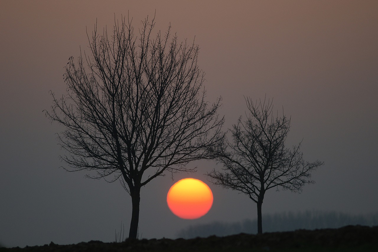 sunset  giant  dawn free photo
