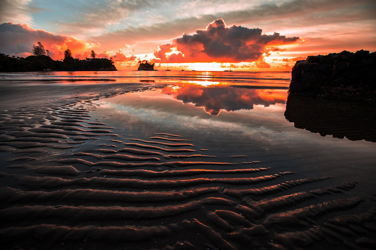 sunset  waters  coast free photo