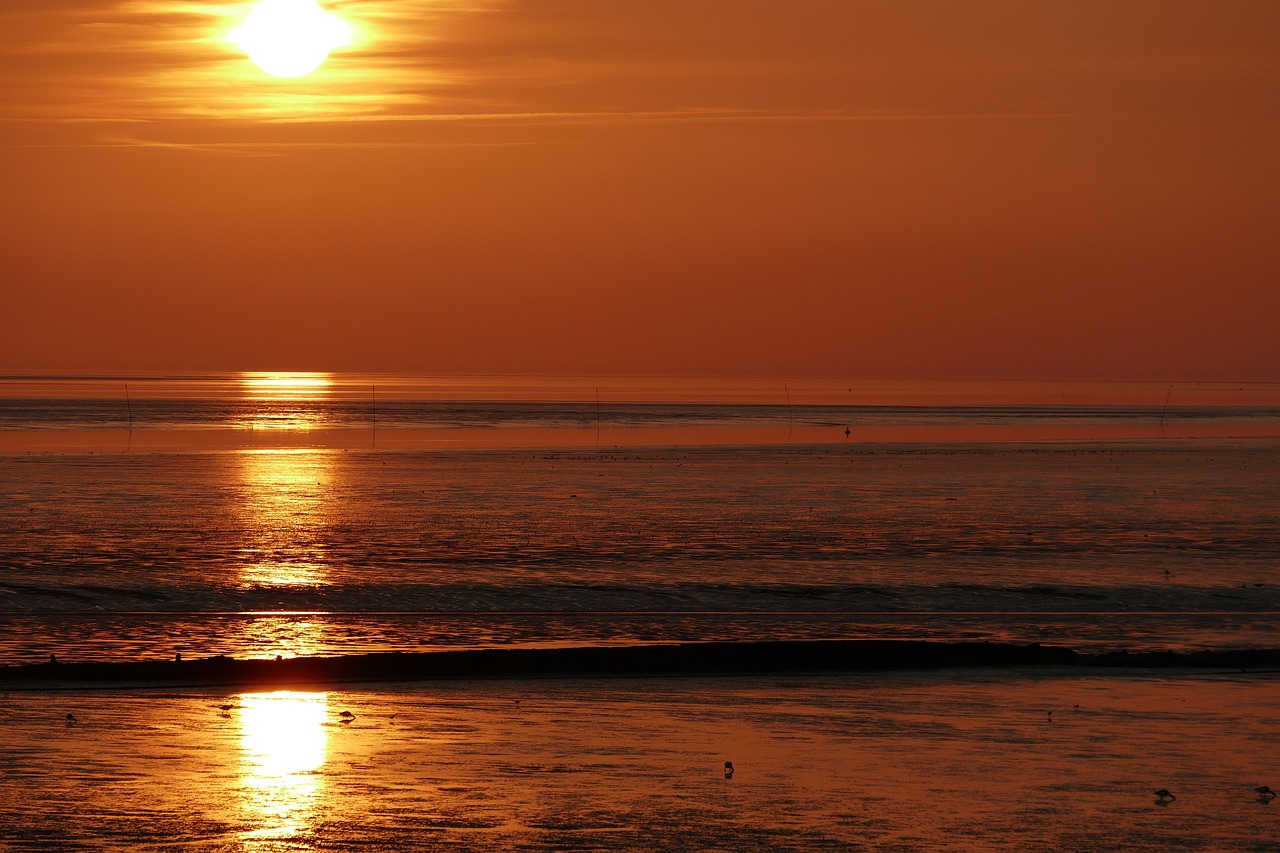 sunset  north sea  wadden sea free photo