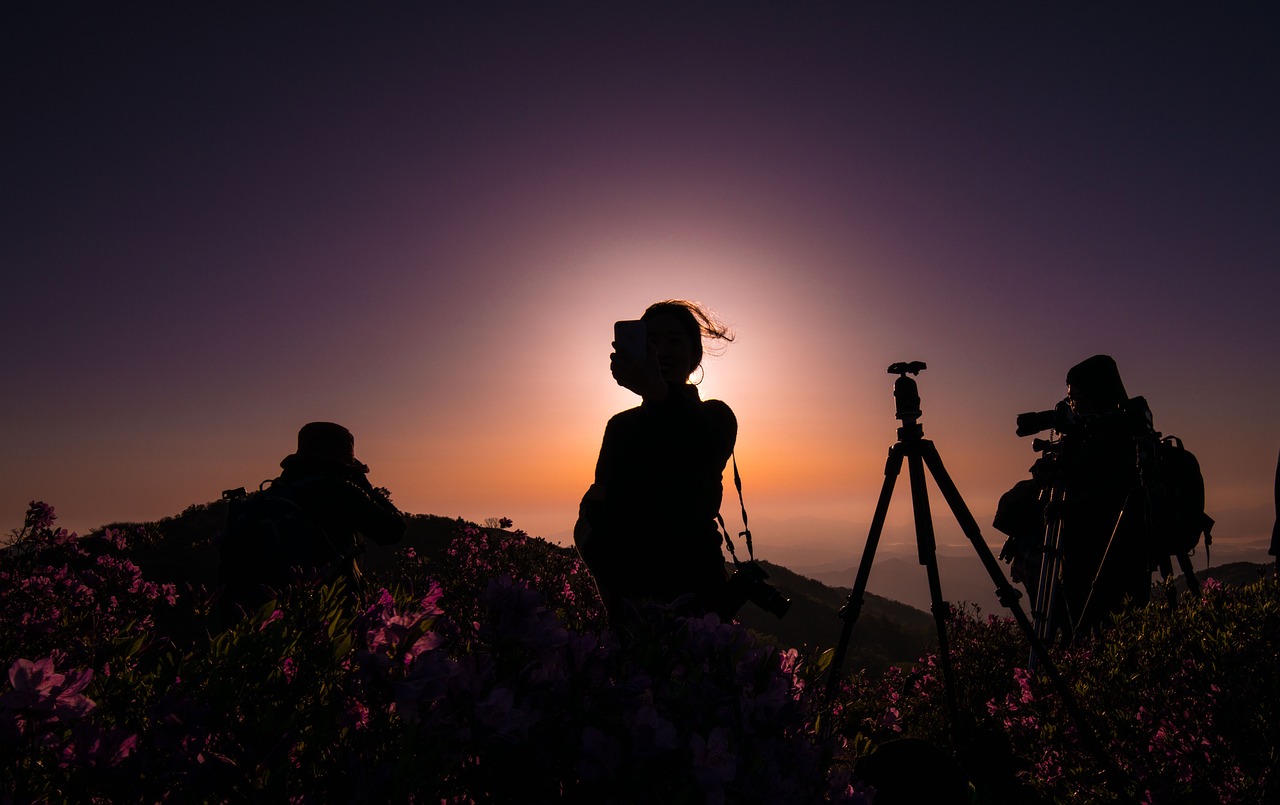 sunset  silhouette  scenery free photo