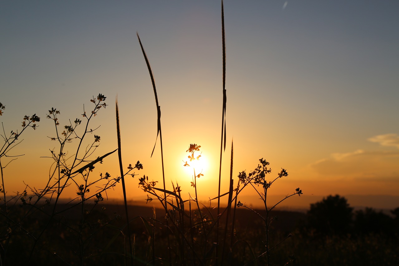 sunset  sky  dawn free photo