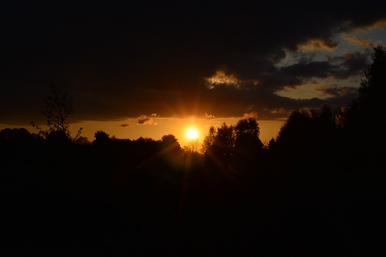 sunset forest abendstimmung free photo