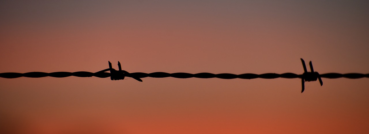 sunset  silhouette  barb wire fence free photo