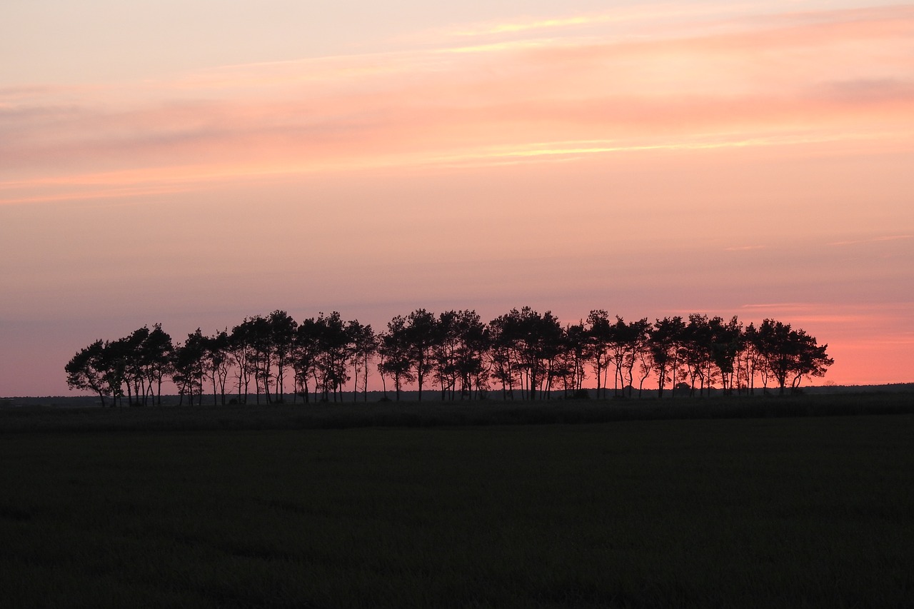 sunset  landscape  sky free photo