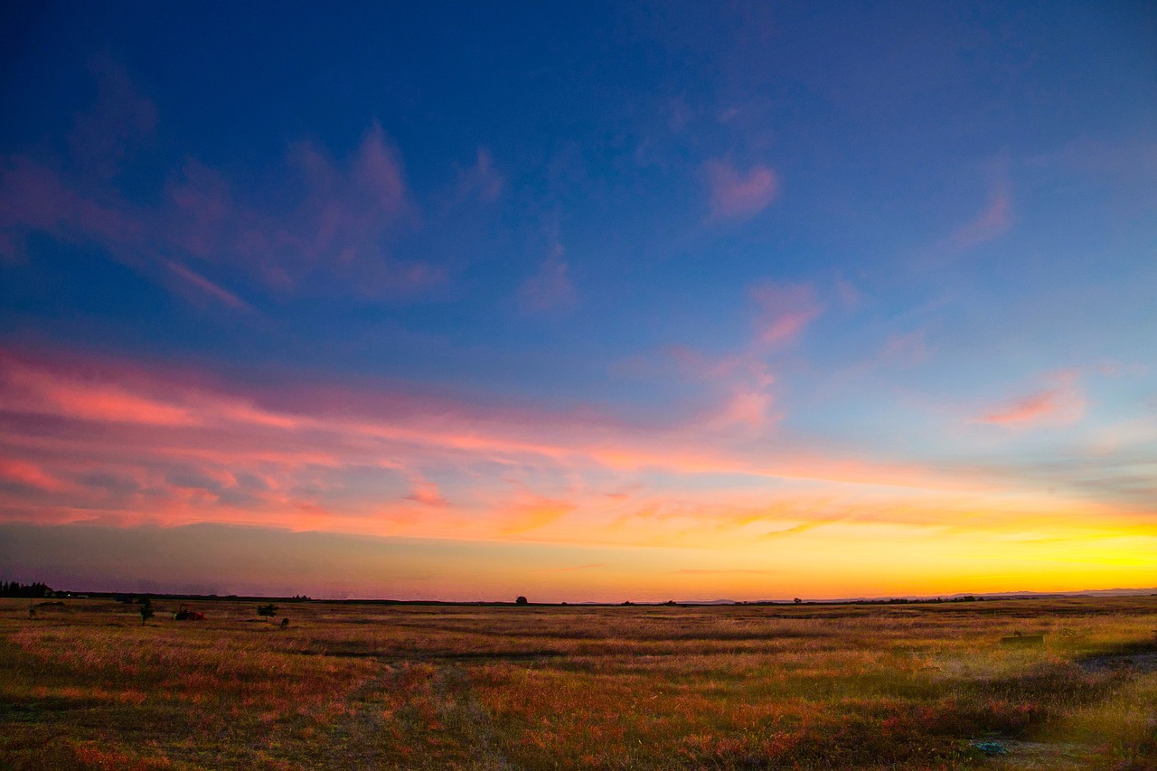 sunset  nature  dawn free photo