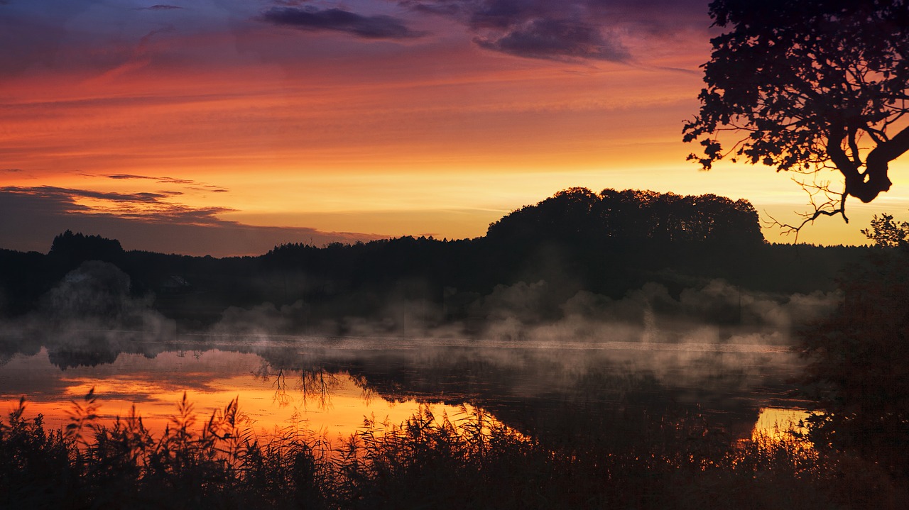 sunset  lake  fog free photo