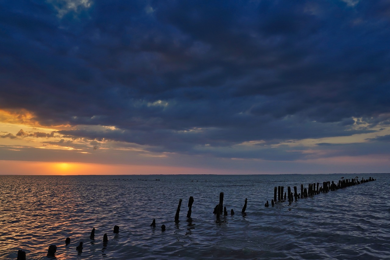 sunset  east frisia  north sea free photo