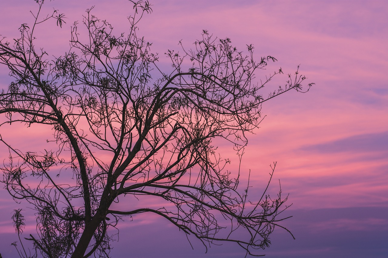 sunset  sky  landscape free photo