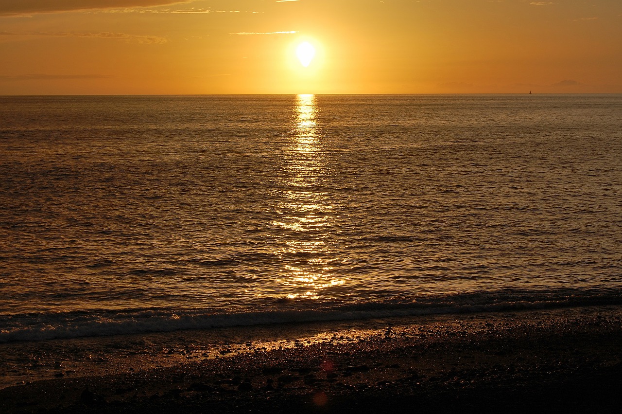 sunset  palm  puerto naos free photo