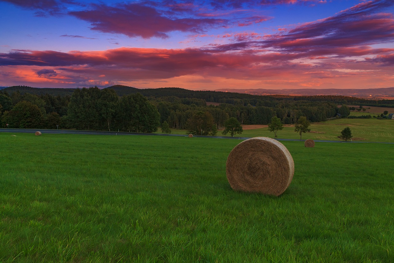 sunset  abendstimmung  straw bales free photo