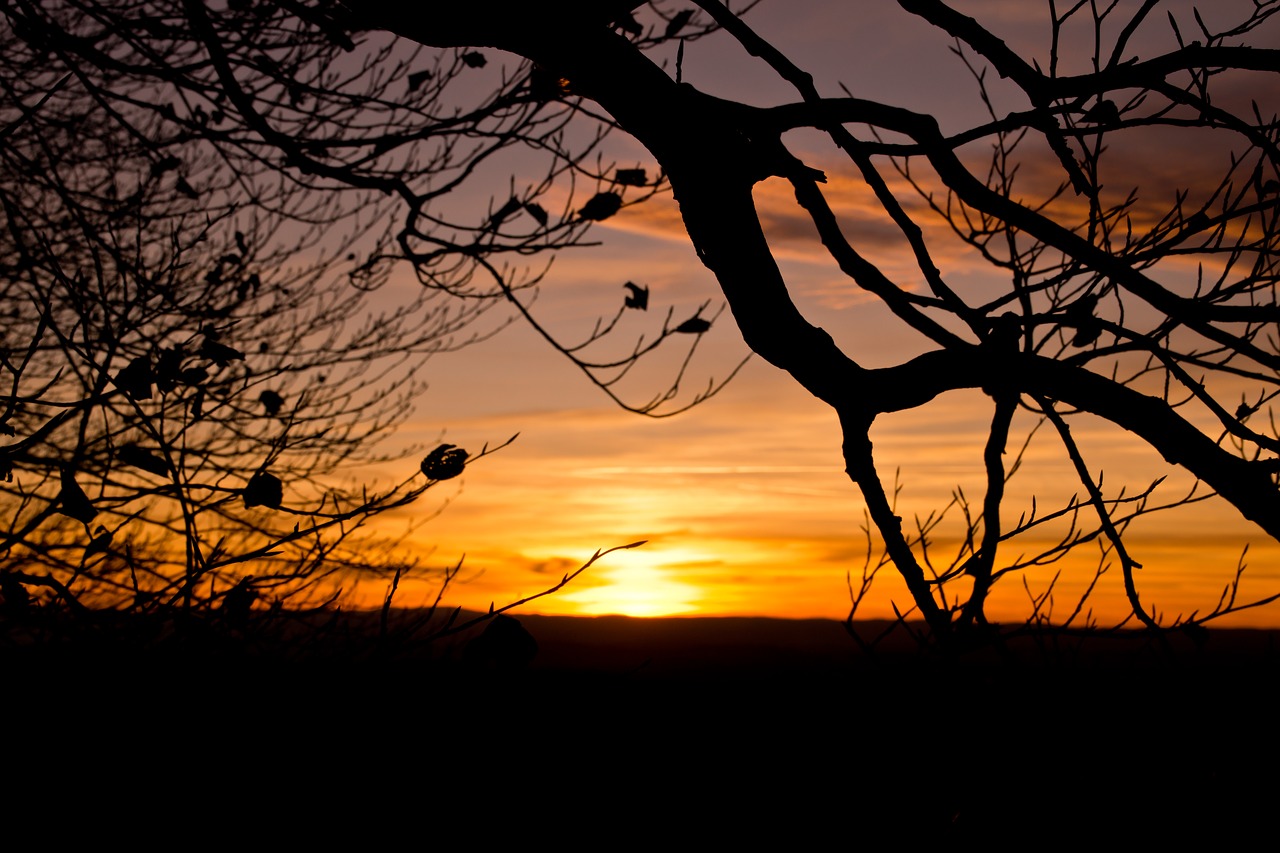 sunset  evening  abendstimmung free photo