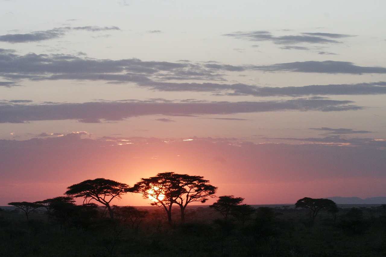 sunset  africa  tan free photo