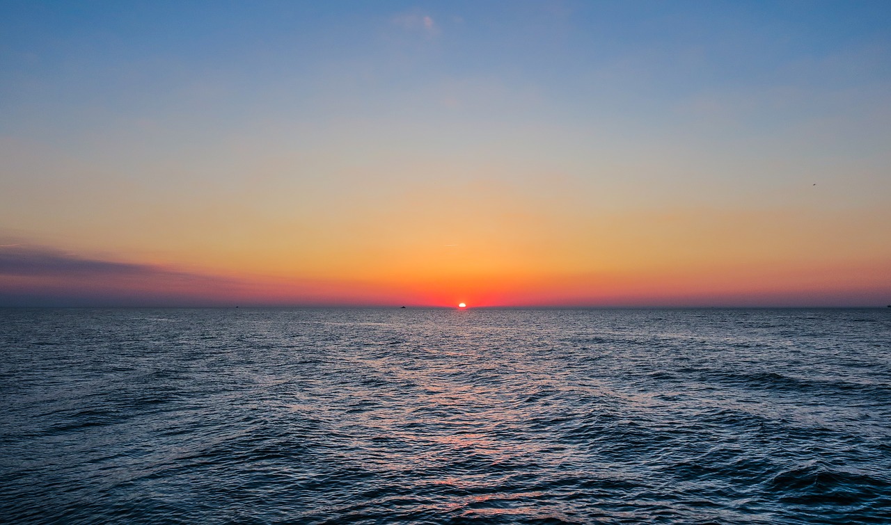 sunset  sea  ocean free photo