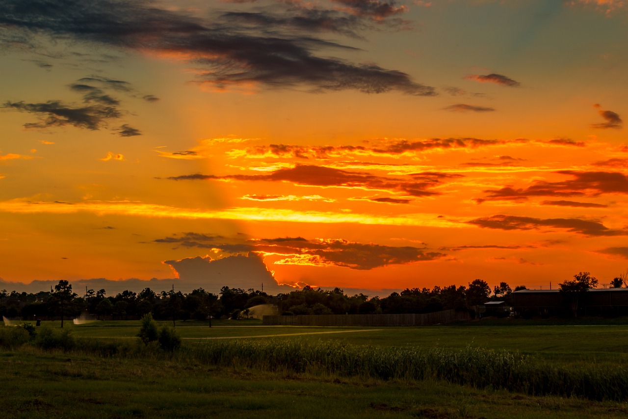 sunset  golf course  summer free photo