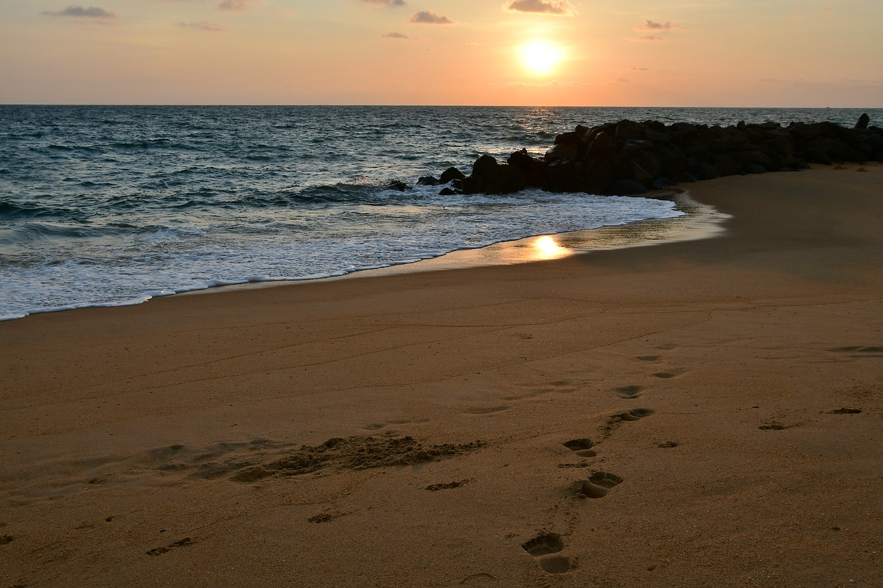 sunset  horizon  beach free photo