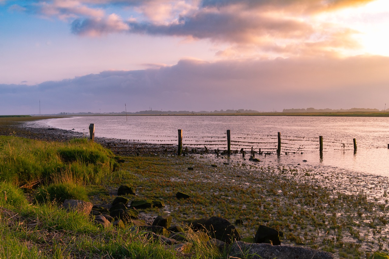 sunset  eider  water free photo