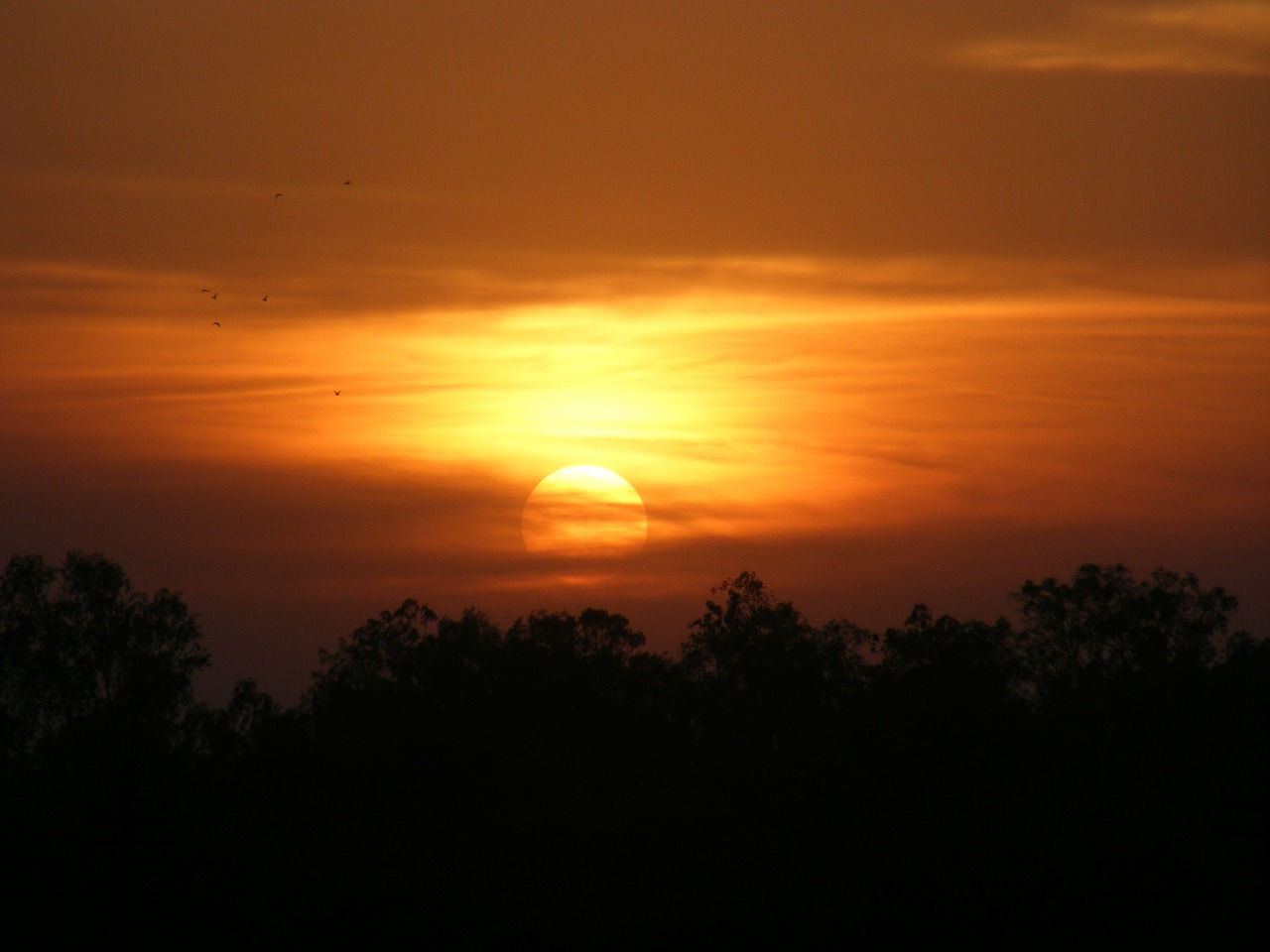 sunset landscapes golden sunset free photo