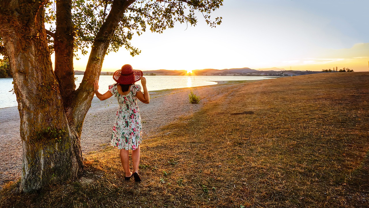 sunset  landscape  field free photo