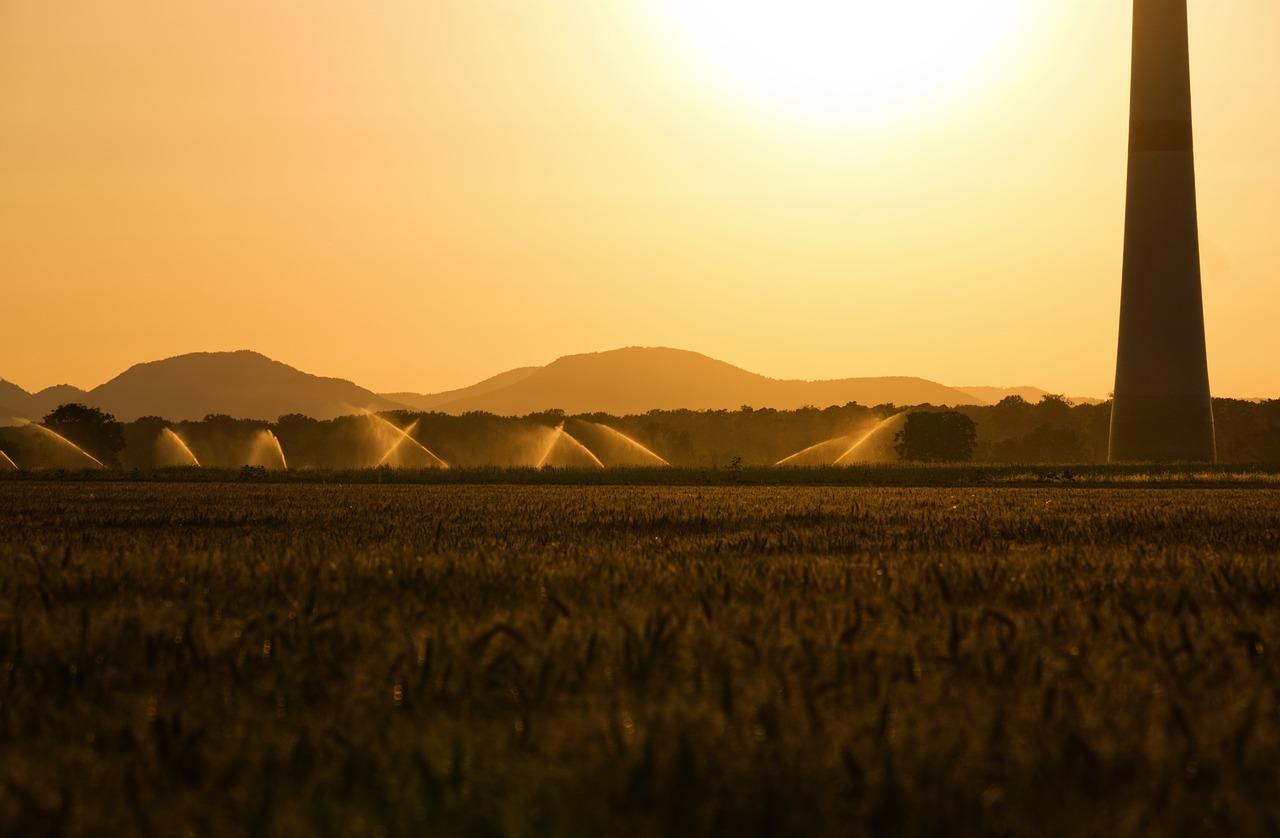 sunset  backlighting  irrigation free photo