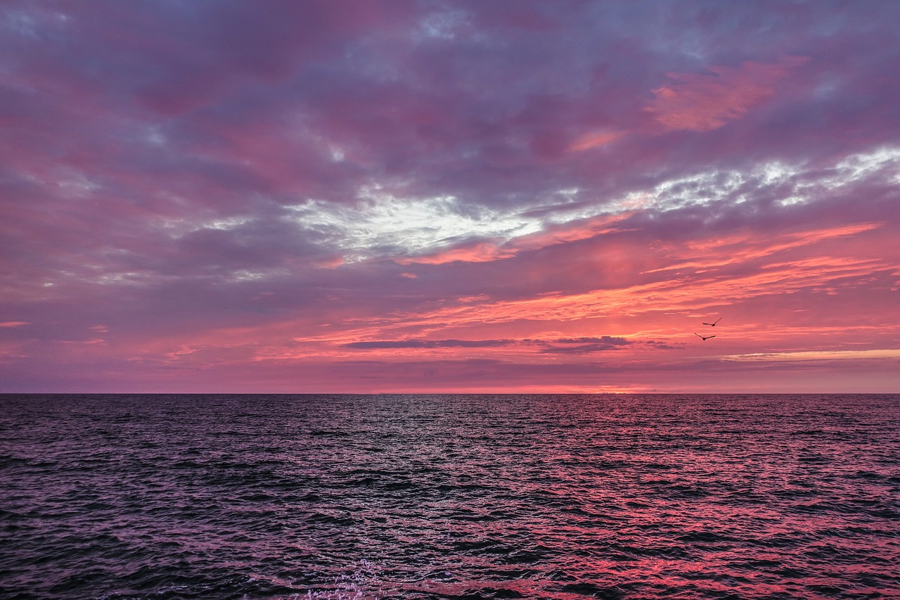 sunset  baltic sea  sky free photo