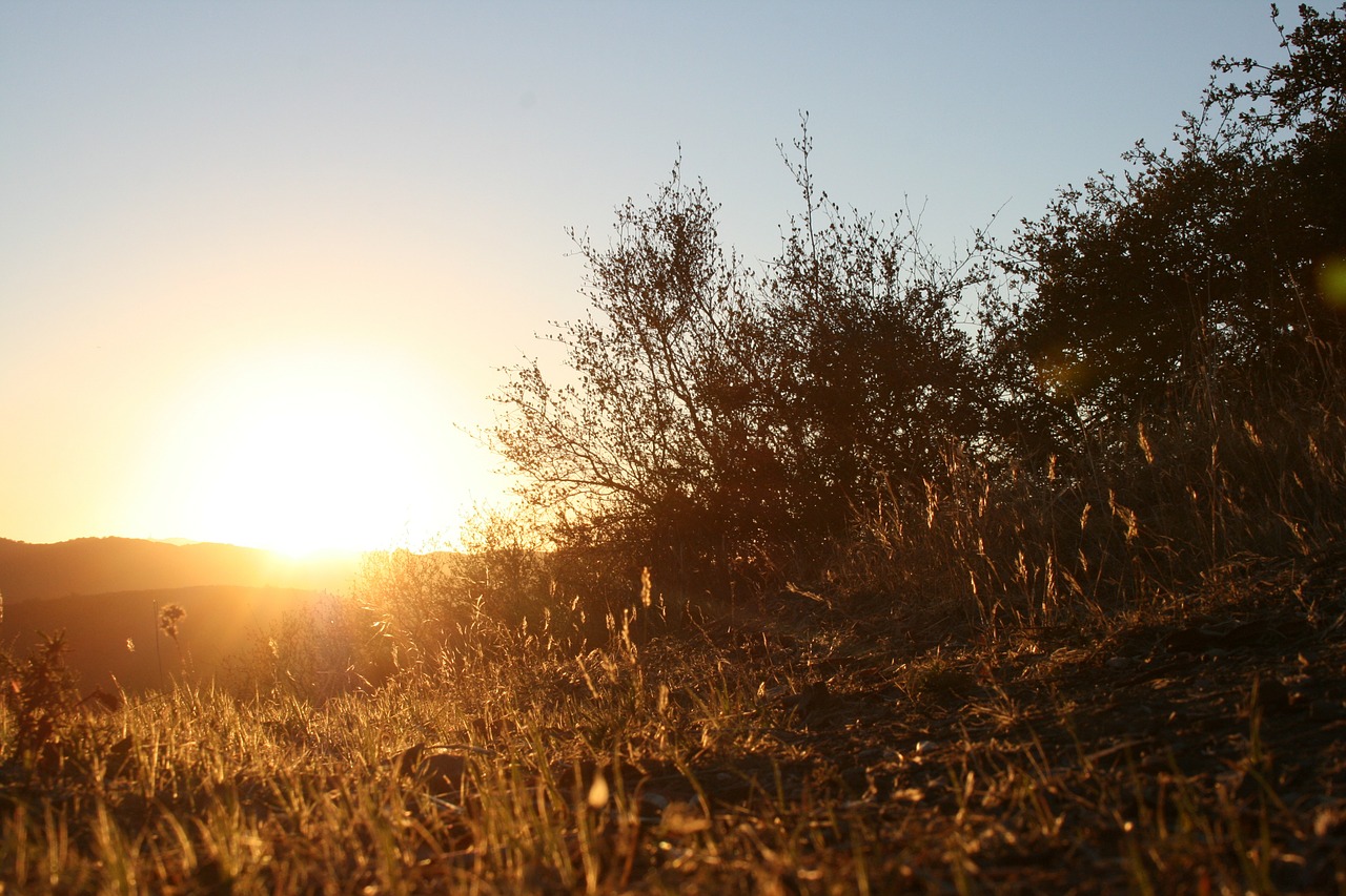 sunset sky golden sunset free photo