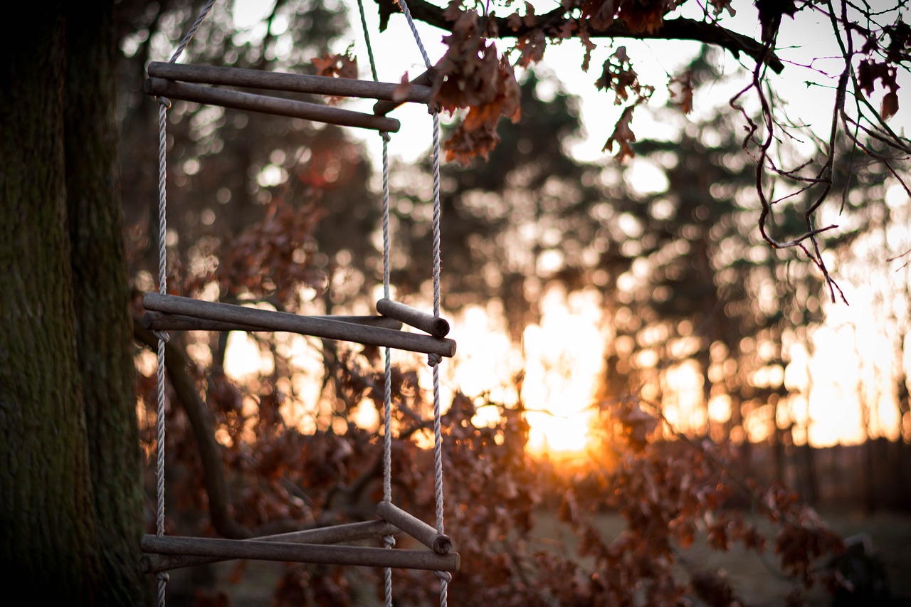 sunset  backlighting  sun free photo