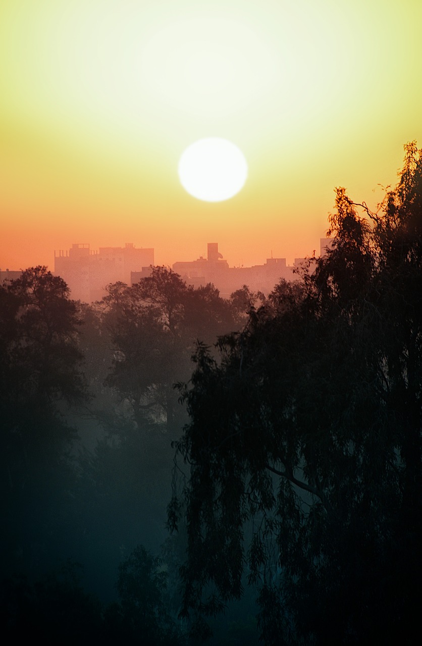sunset  cairo  city free photo