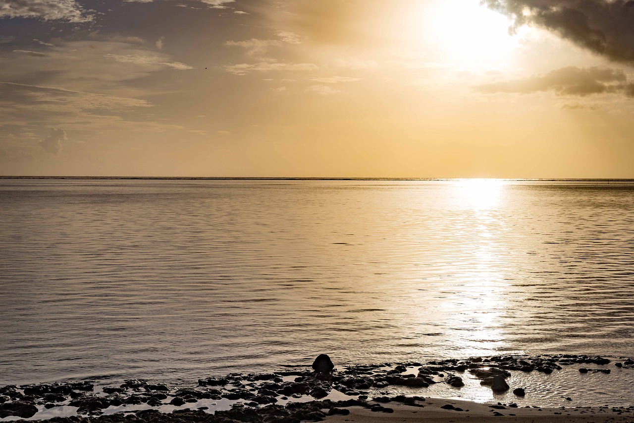 sunset  moorea  french polynesia free photo