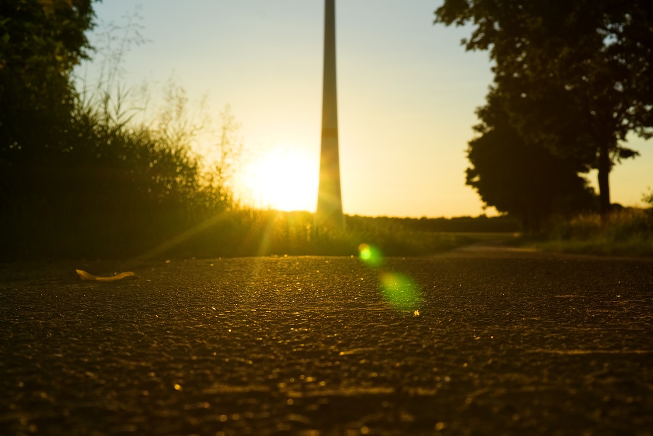 sunset  backlighting  mood free photo