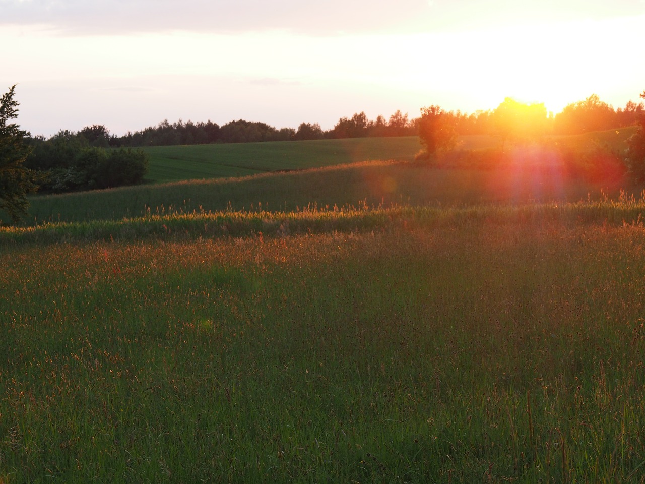 sunset grass landscape free photo