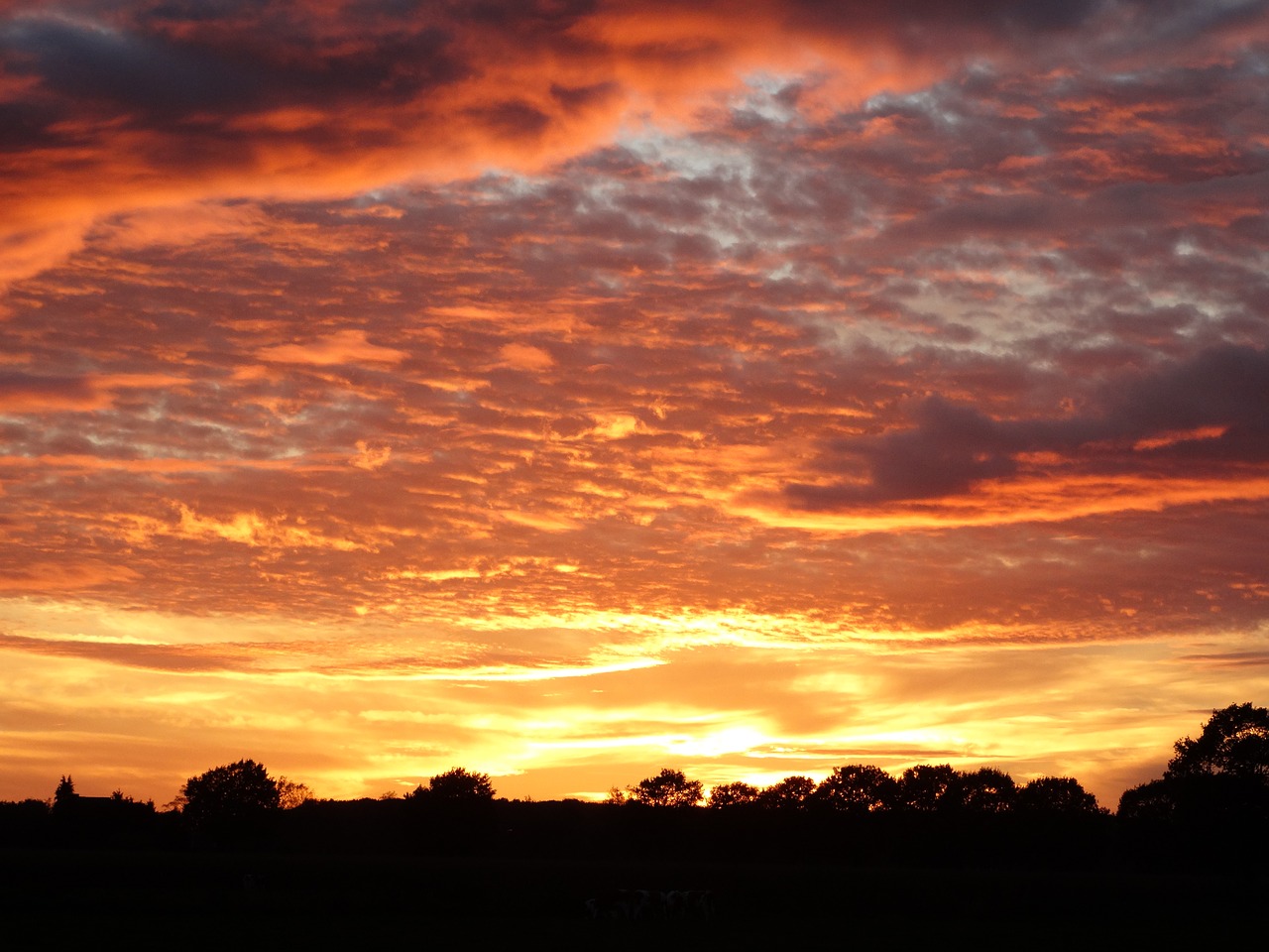 sunset  evening sky  clouds free photo