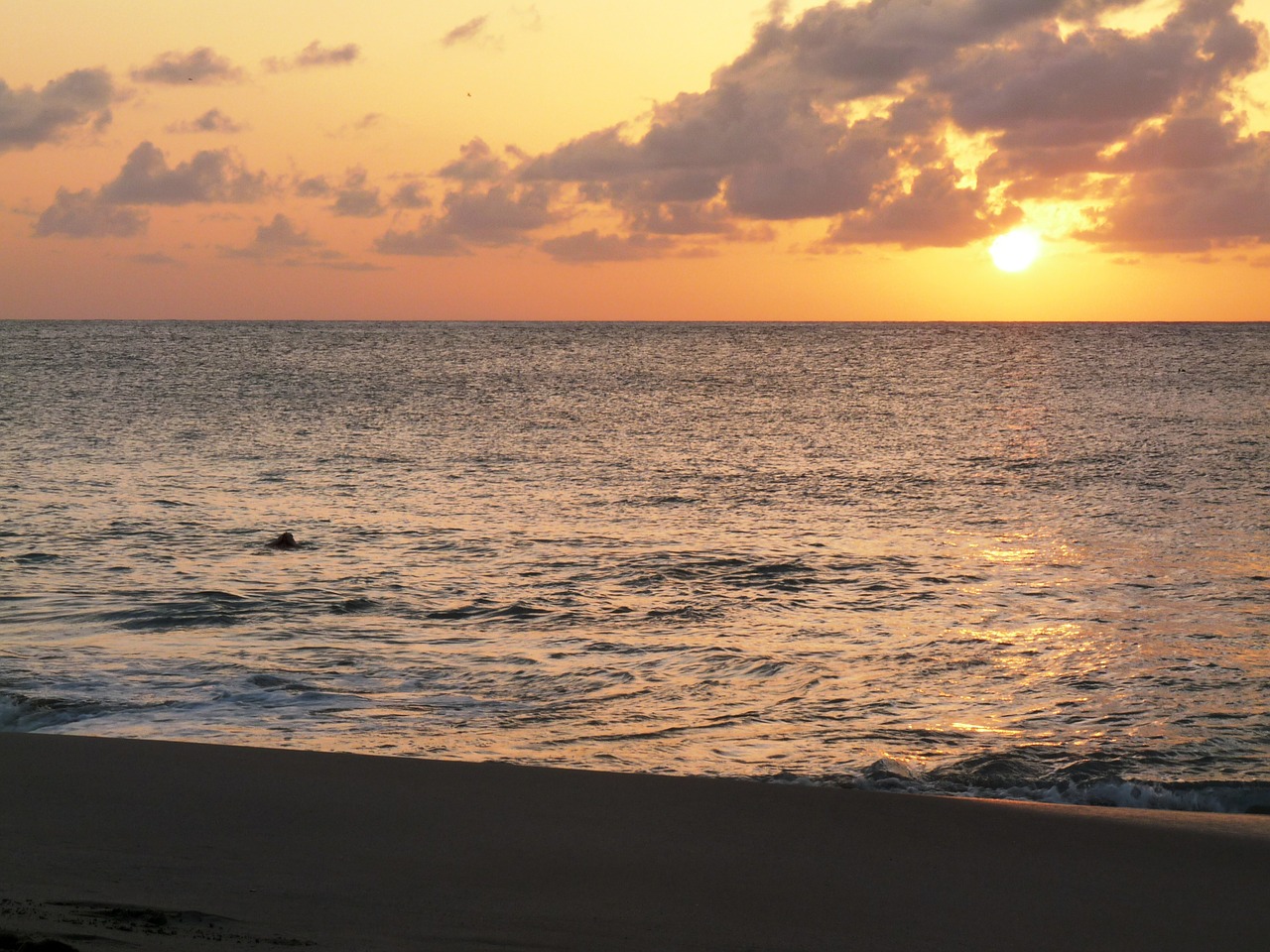 sunset golden caribbean free photo