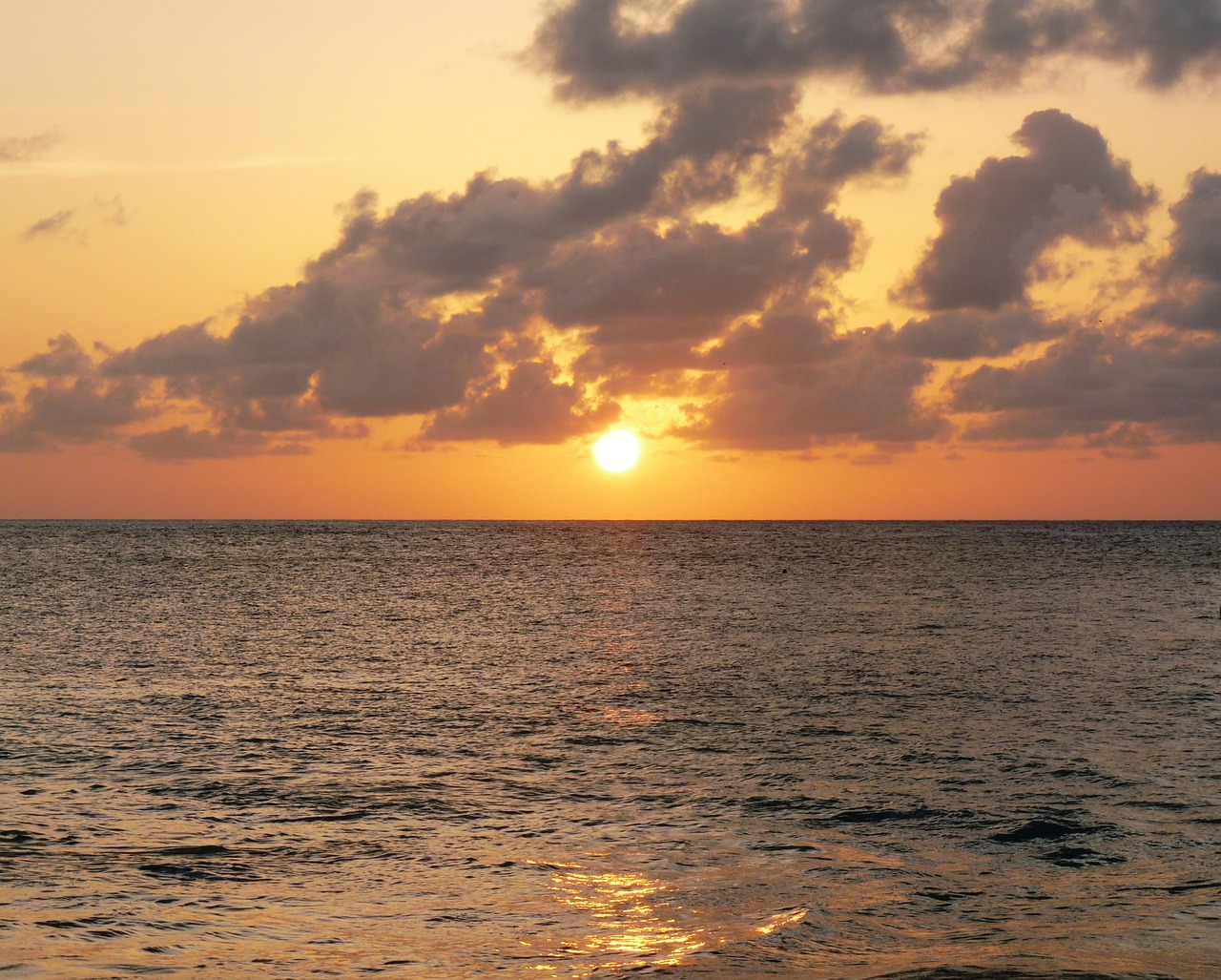 sunset golden caribbean free photo