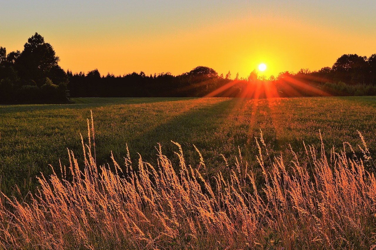 sunset  go  värnamo free photo