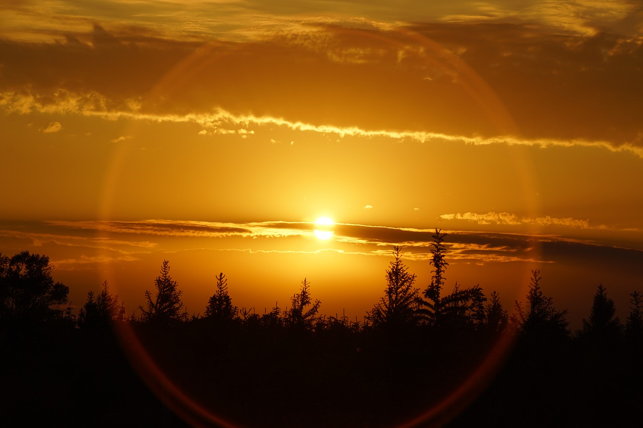 sunset  odense  denmark free photo
