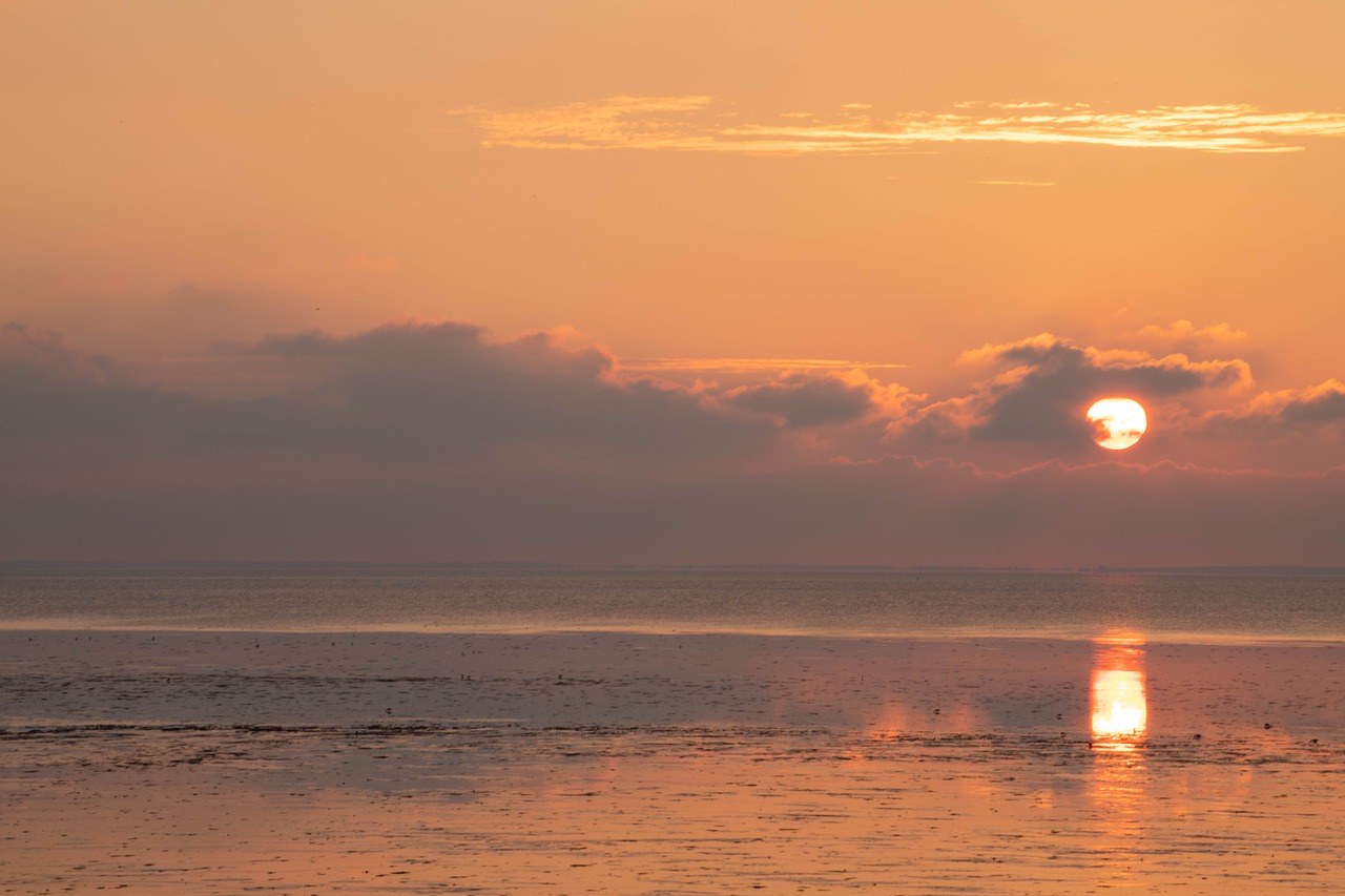 sunset  wadden sea  sea free photo