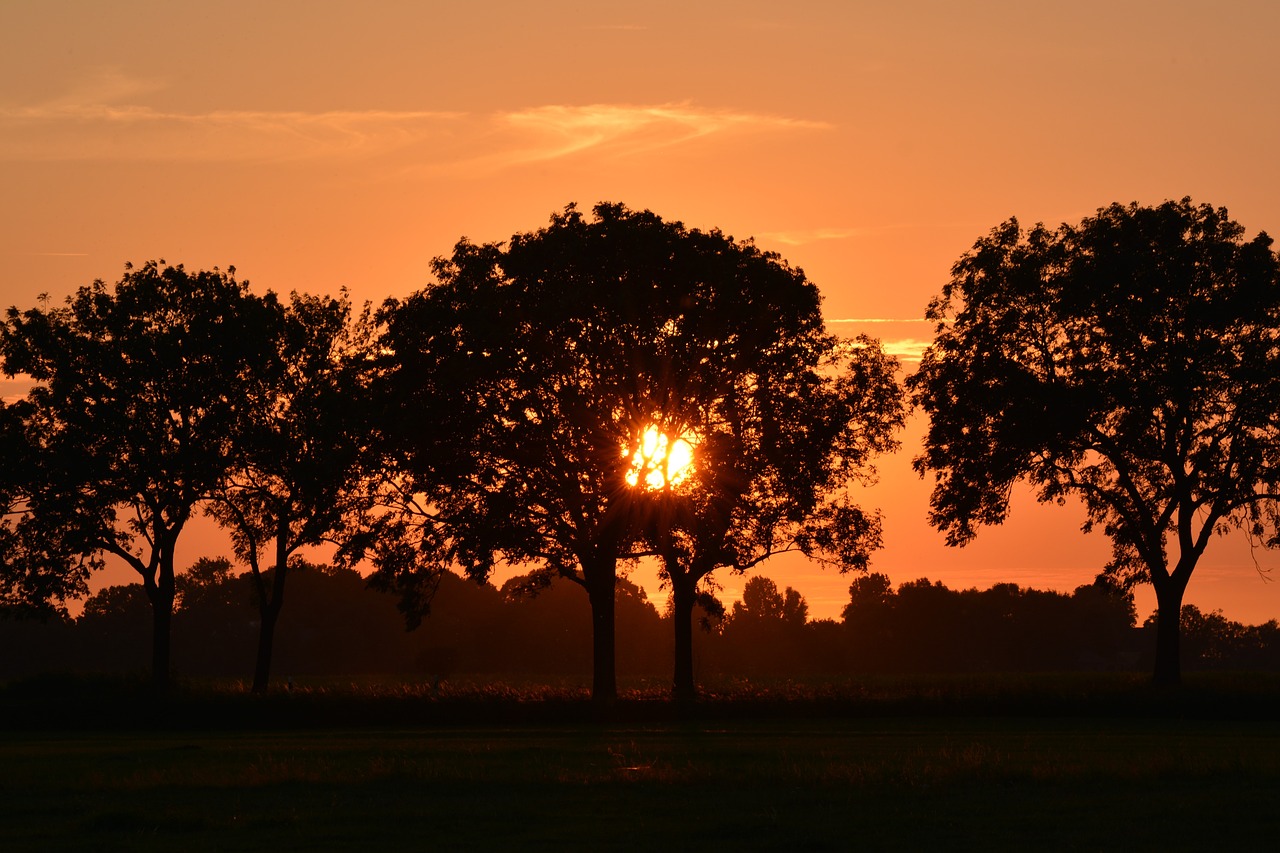 sunset  rheiderland include a  nature free photo