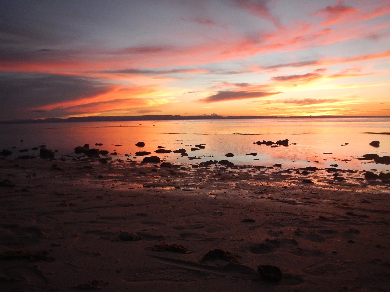 sunset  beach  sea free photo