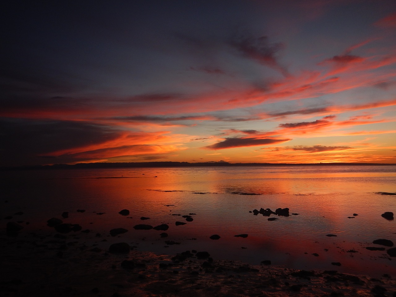 sunset  beach  sea free photo