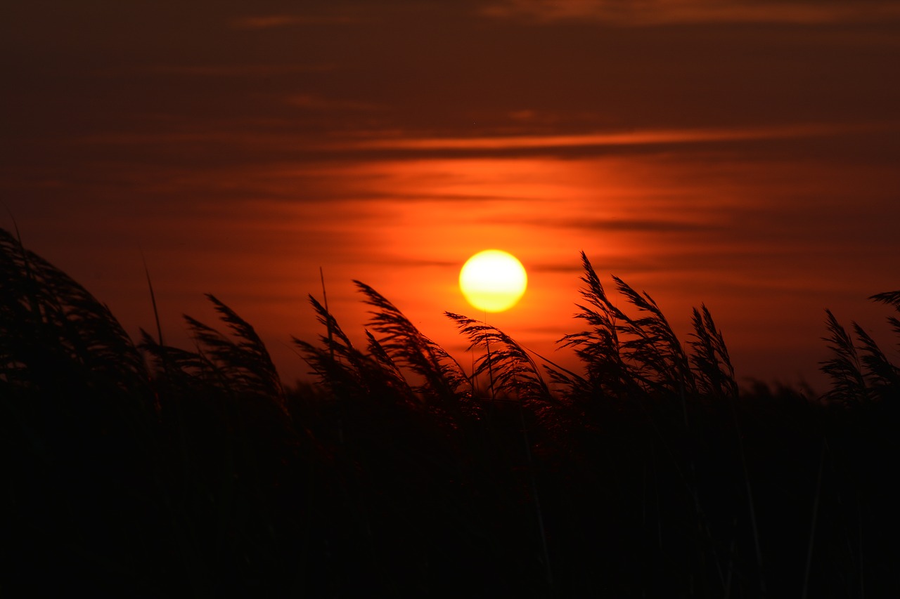 sunset  romantic  dusk free photo