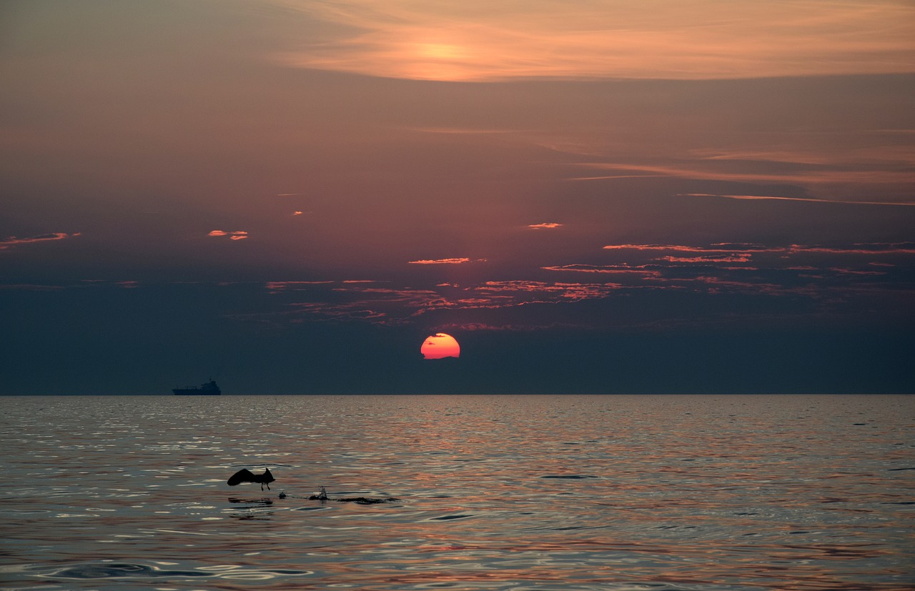 sunset  trieste  sea free photo