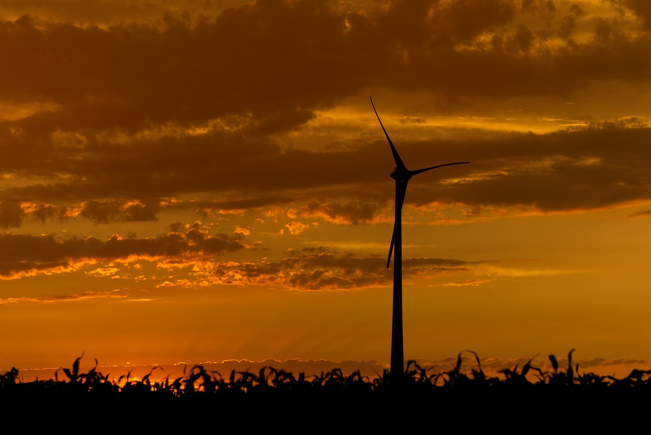 sunset  pinwheel  wind power free photo